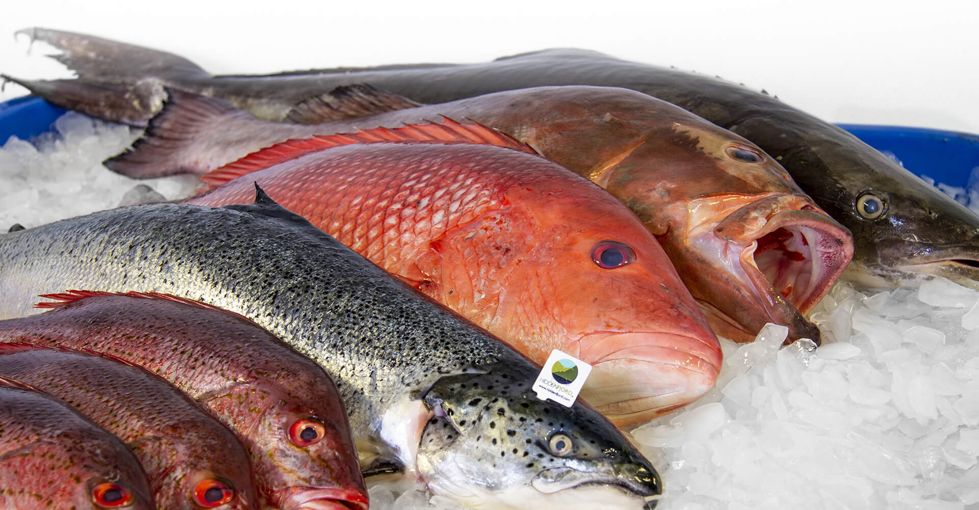 Restaurant Quality Seafood Always Fresh Fish's Wholesale